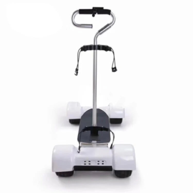 Electric Golf Scooter